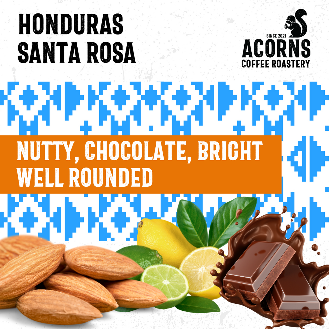 Exploring Honduras Coffee: A Roaster’s Perspective on Flavour, Origin, and Craft