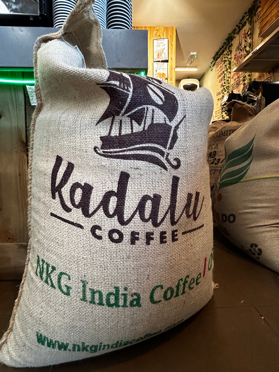 The Origin of Monsooned Malabar