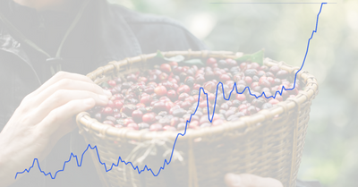 Why Are Coffee Prices Soaring? Here’s What’s Brewing Behind the Scenes