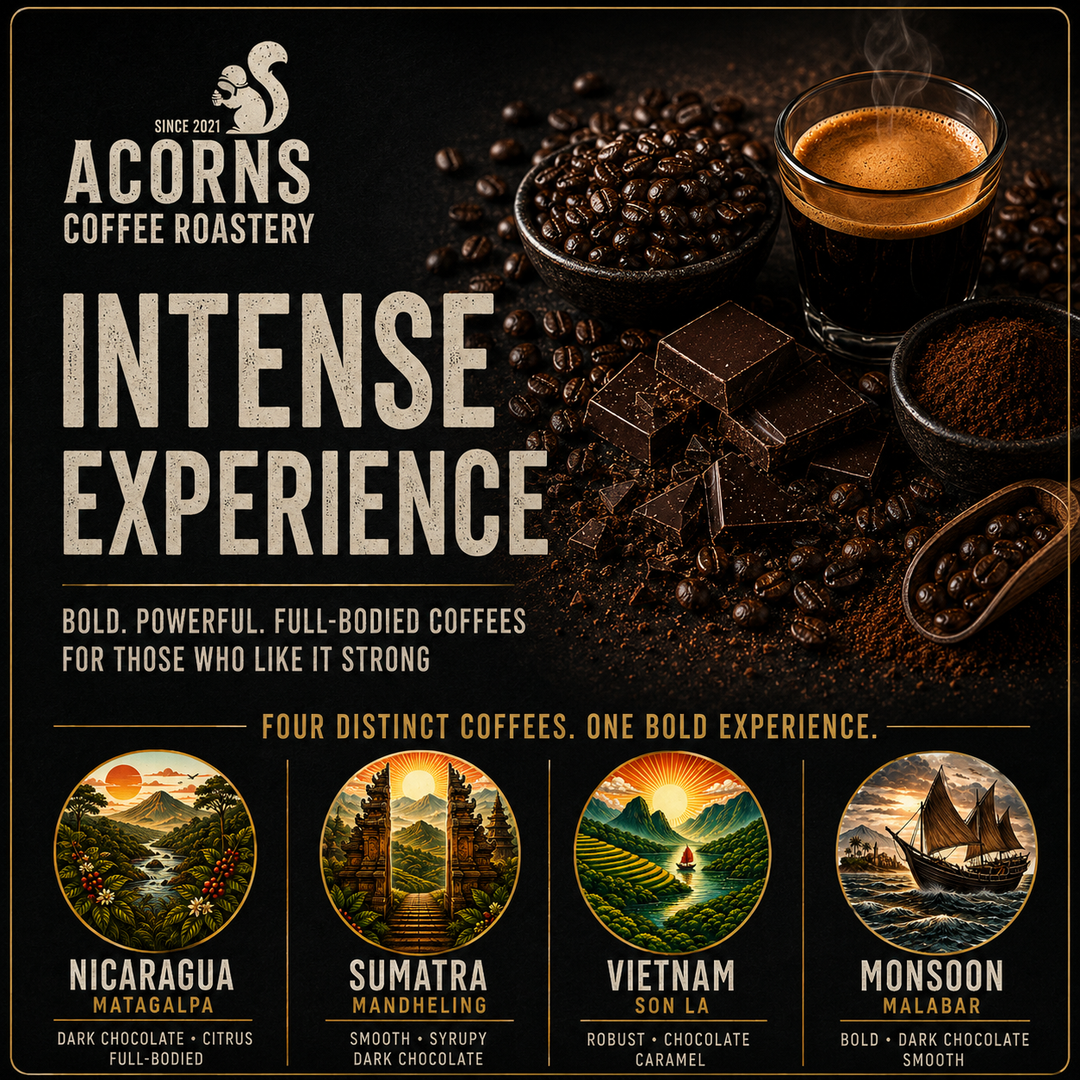 Acorns coffee bold and intense collection best strong coffee roasted in bordon