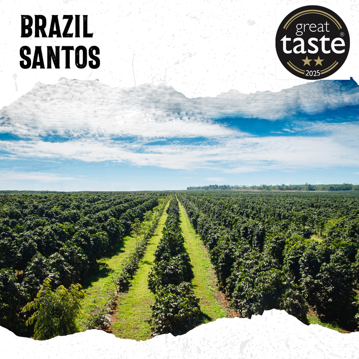 Acorns Coffee | Aerial view of a coffee plantation with &