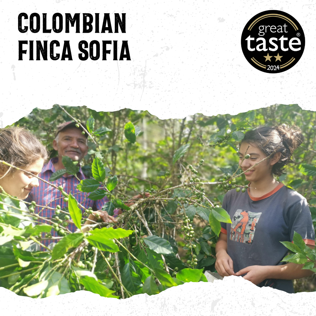 Acorns Coffee. Happy people working in a coffee plantation with &