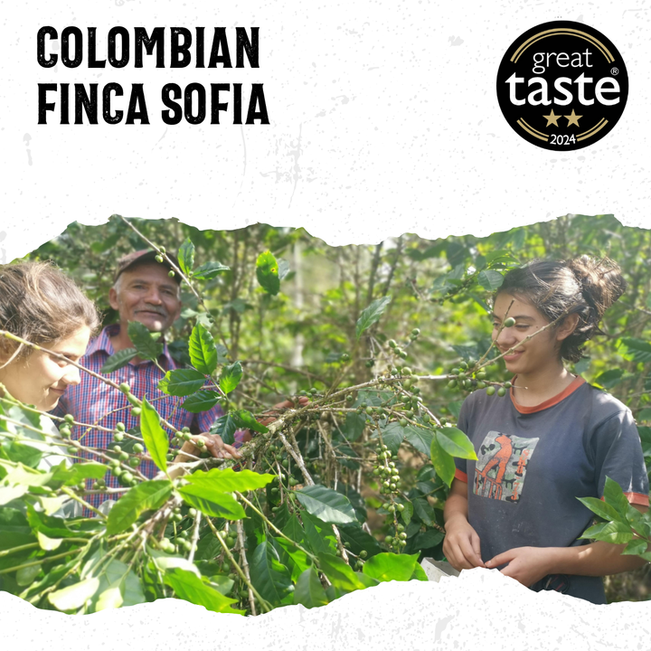 Acorns Coffee. Happy people working in a coffee plantation with &