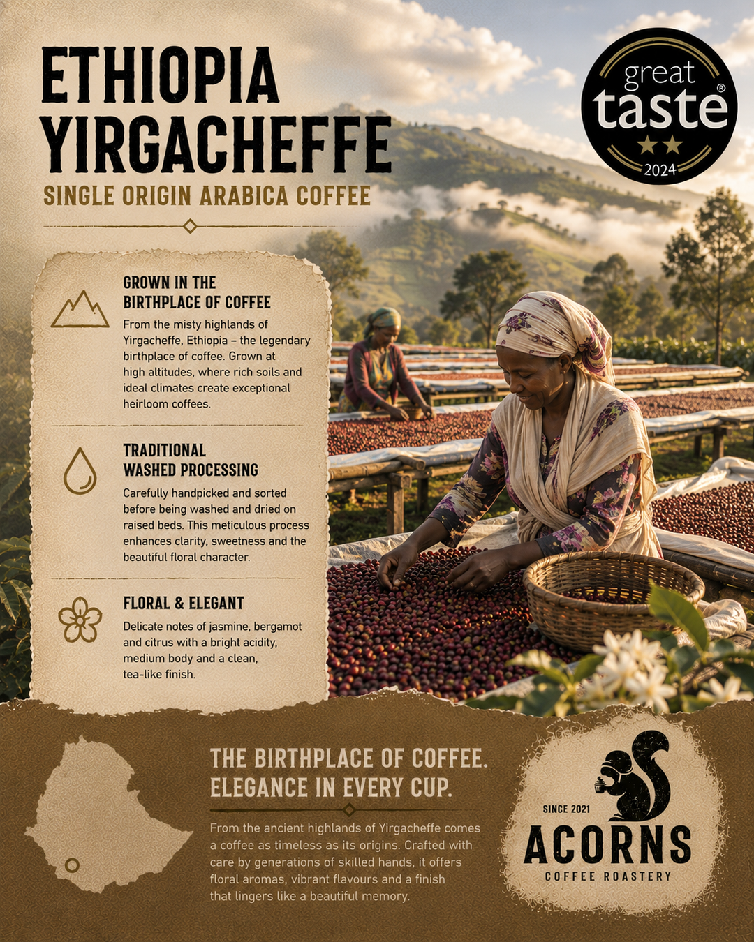 Ethiopia Yirgacheffe fact sheet showing a farmer sorting coffee cherries for fresh roasting after traditional washing processing to create a floral and elegant coffee bean to drink