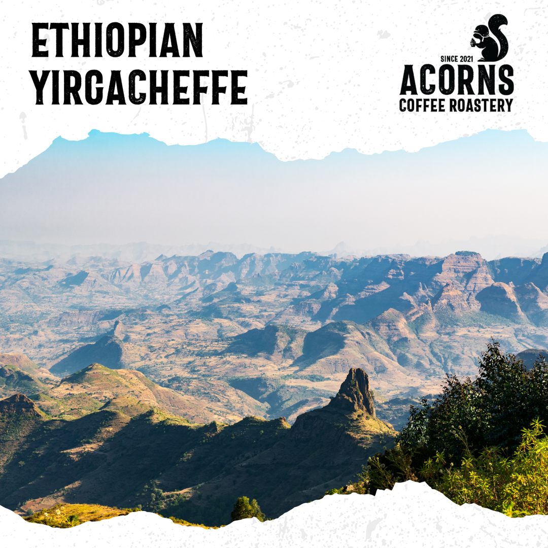 Scenic view of Ethiopian mountains with Acorns Coffee Roastery branding.