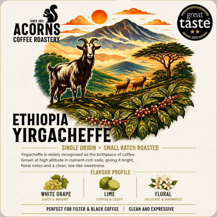 Acorns Coffee | Ethiopia Yirgacheffe coffee beans bright and floral coffee roasted in Bordon
