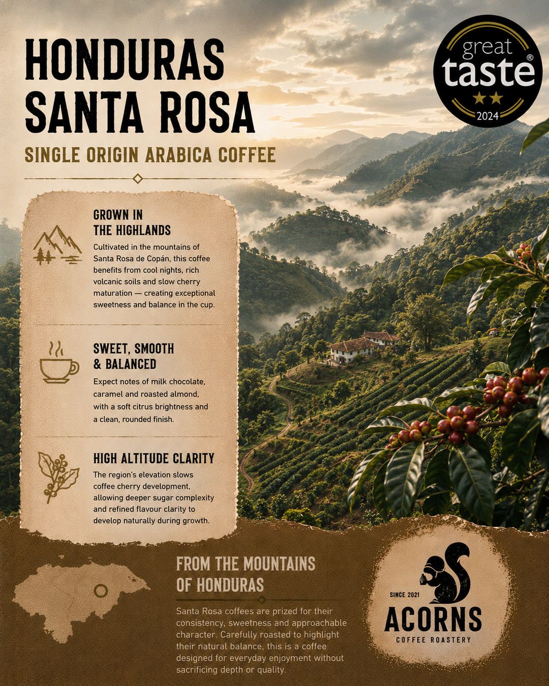 Acorns coffee Honduras Santa Rosa coffee smooth sweet and informative detail about climate altitude and flavour profile of this smooth coffee