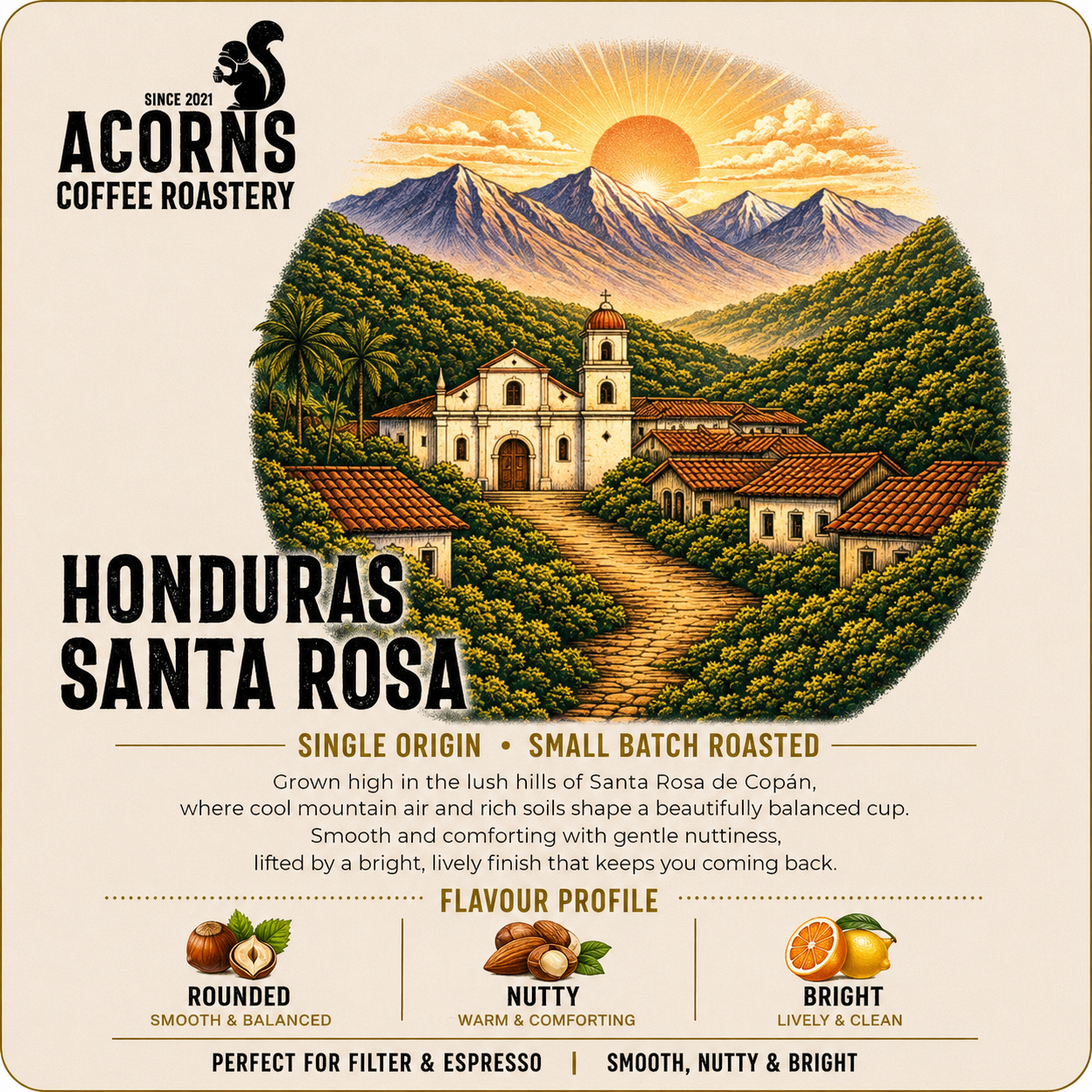Acorns coffee Honduras Santa Rosa coffee beans nutty and bright 