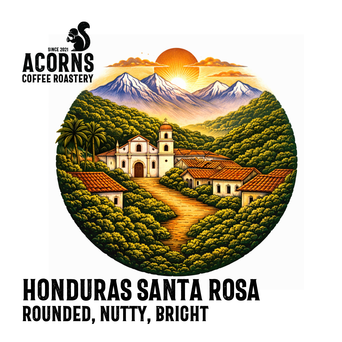 acorns coffee Honduras Santa Rosa rounded nutty bright roasted in bordon hampshire