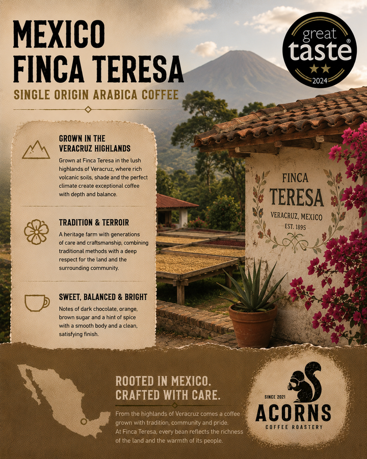 acorns coffee Mexico finca teresa rooted in Mexico crafted with care sweet and balanced coffee from Veracruz mexico