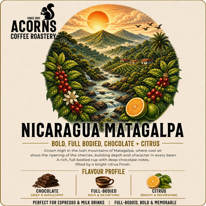 Acornscoffee beans Nicaragua volcanic chocolate citrus locally roasted