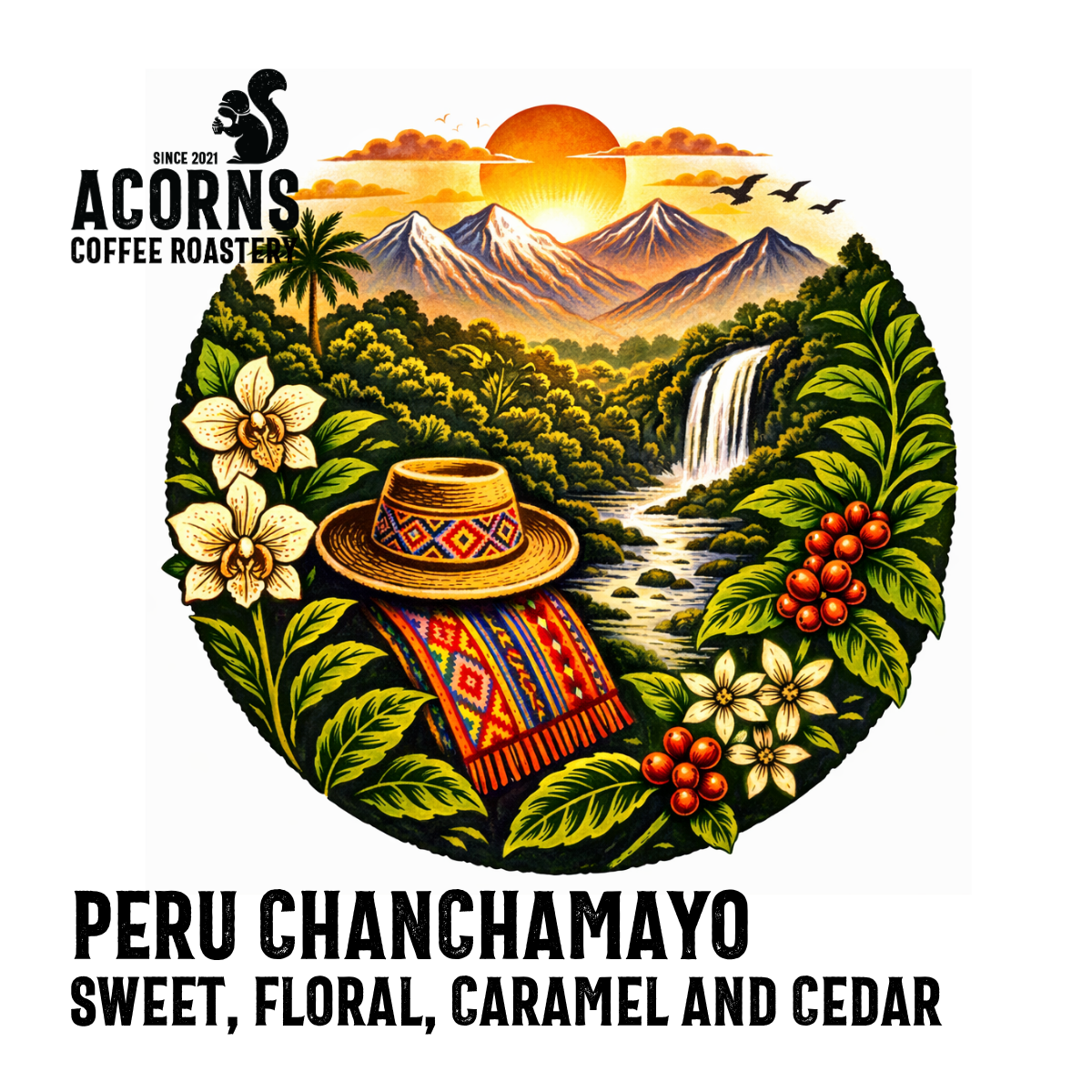acorns coffee Peru chanchamayo sweet floral caramel cedar roasted in bordon hampshire