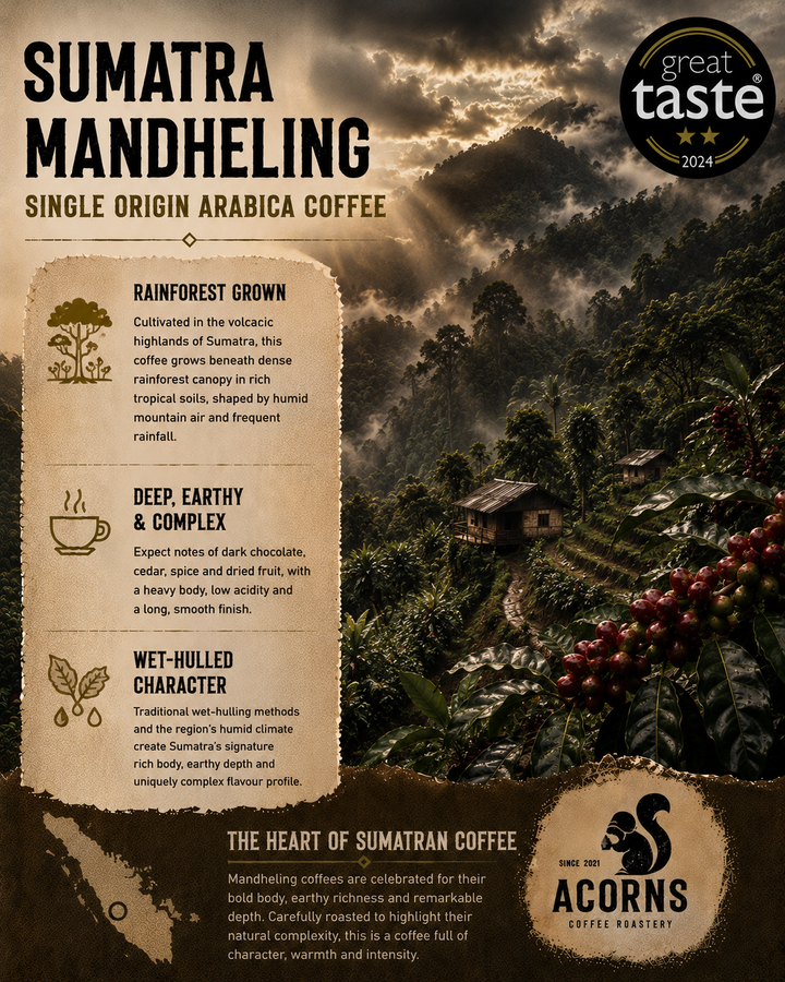 acorns coffee Sumatra mandheling bold deep earthy and complex coffee bean by award winning roastery in Bordon hampshire
