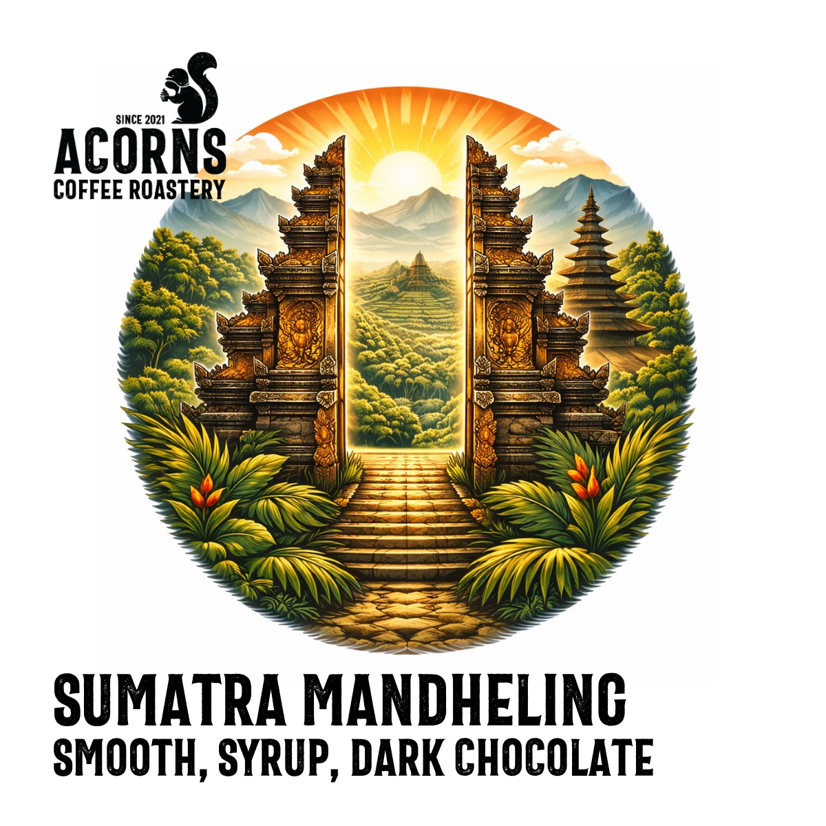 acorns coffee Sumatra mandheling smooth syrup dark chocolate roasted in bordon hampshire