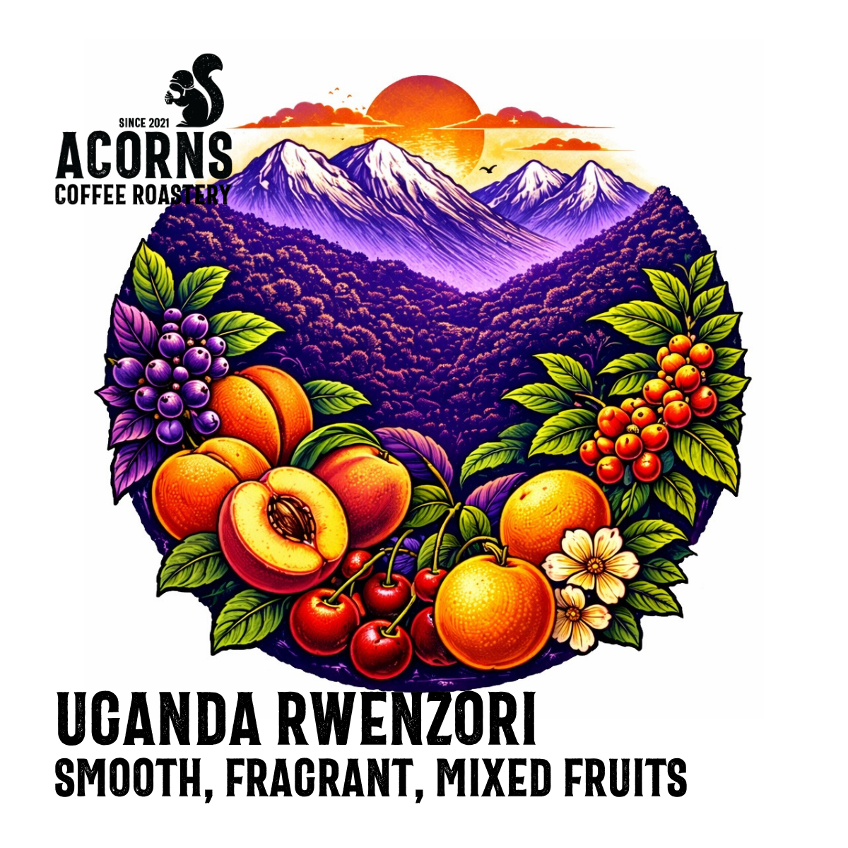 acorns coffee Uganda rwenzori smooth fragrant mixed fruits roasted in bordon hampshire