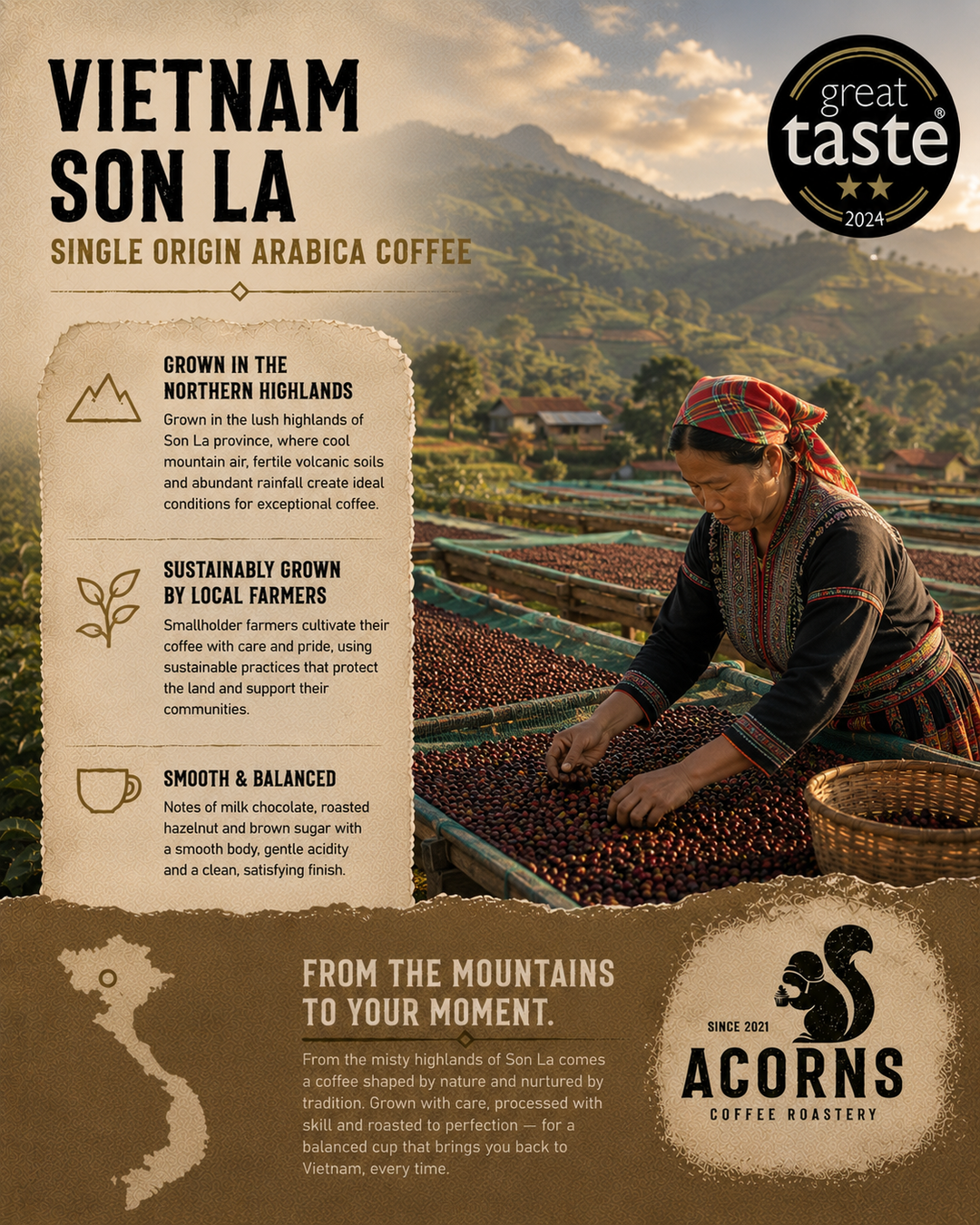 acorns coffee robusta coffee bean Vietnam son la image of farmer picking through Vietnam coffee cherries against a backdrop of the northern highlands in vietnam