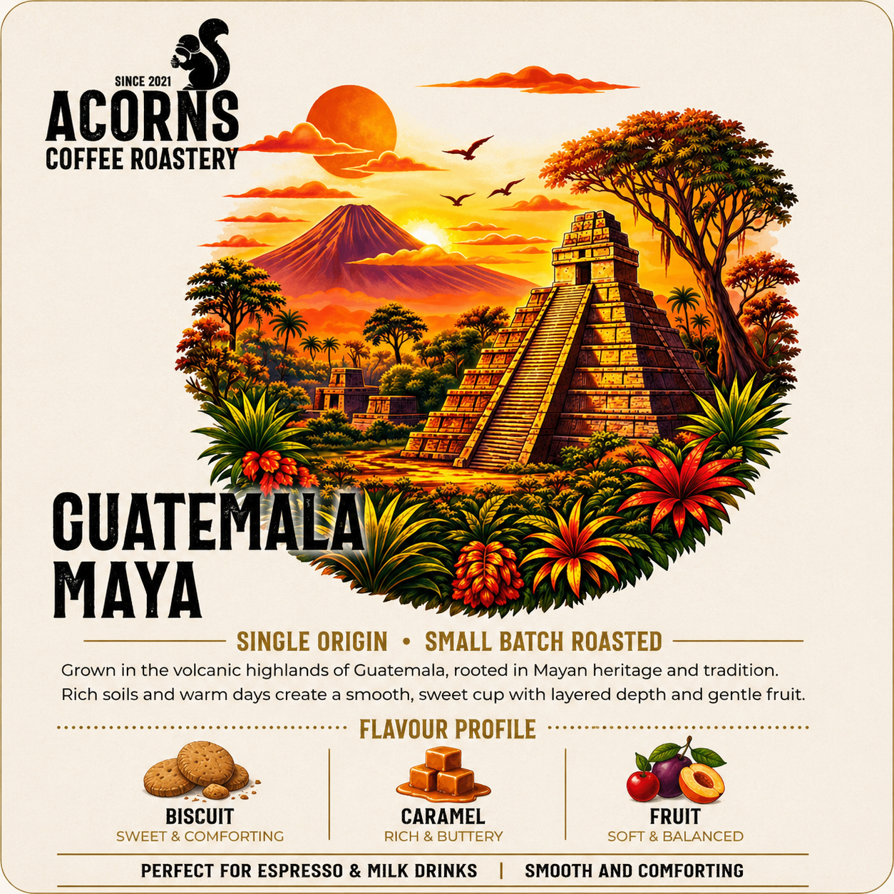 Acorns coffee beans roasted in Bordon Guatemala Maya caramel coffee