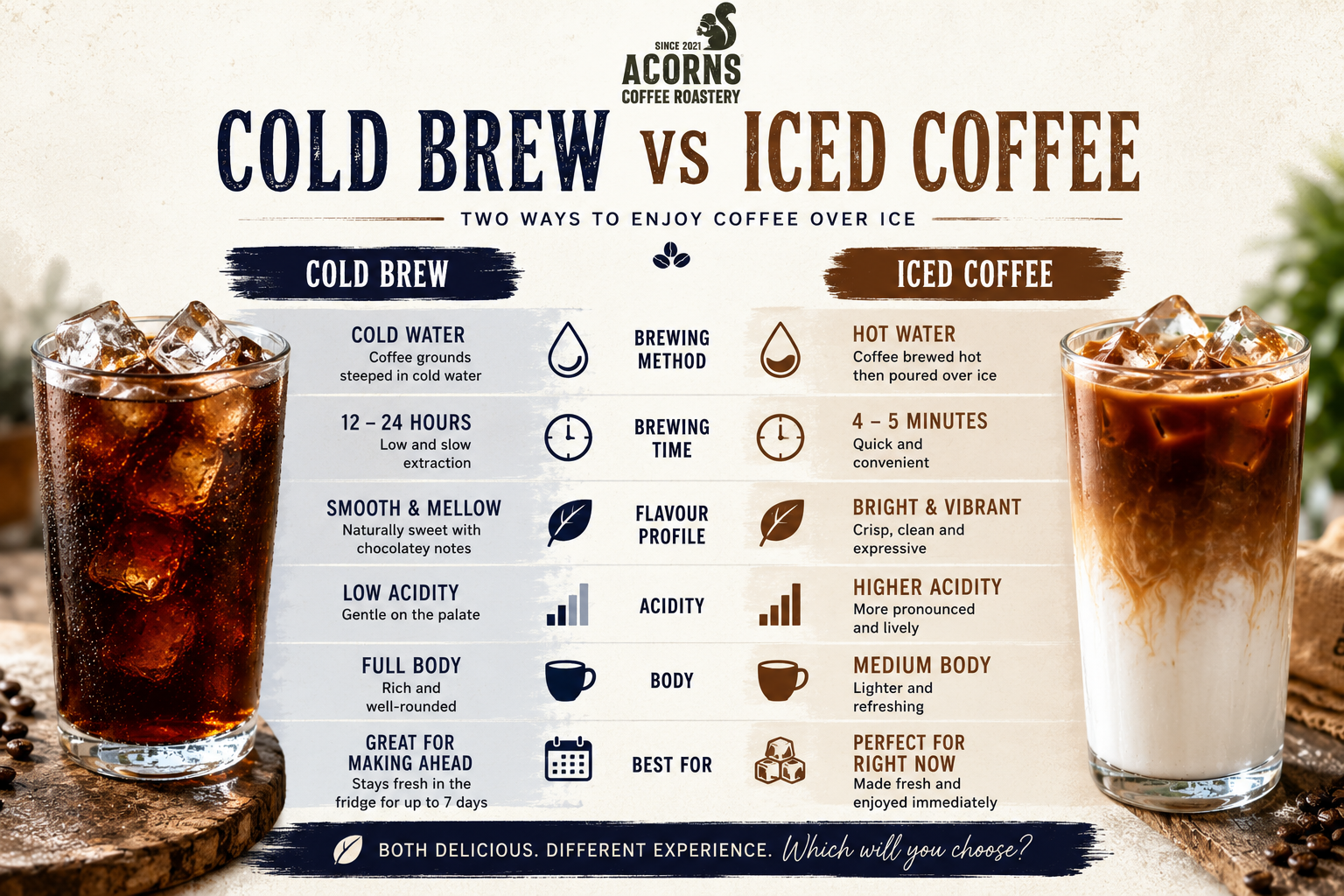 At a glance infographic of cold brew and iced coffee from acorns coffee roastery