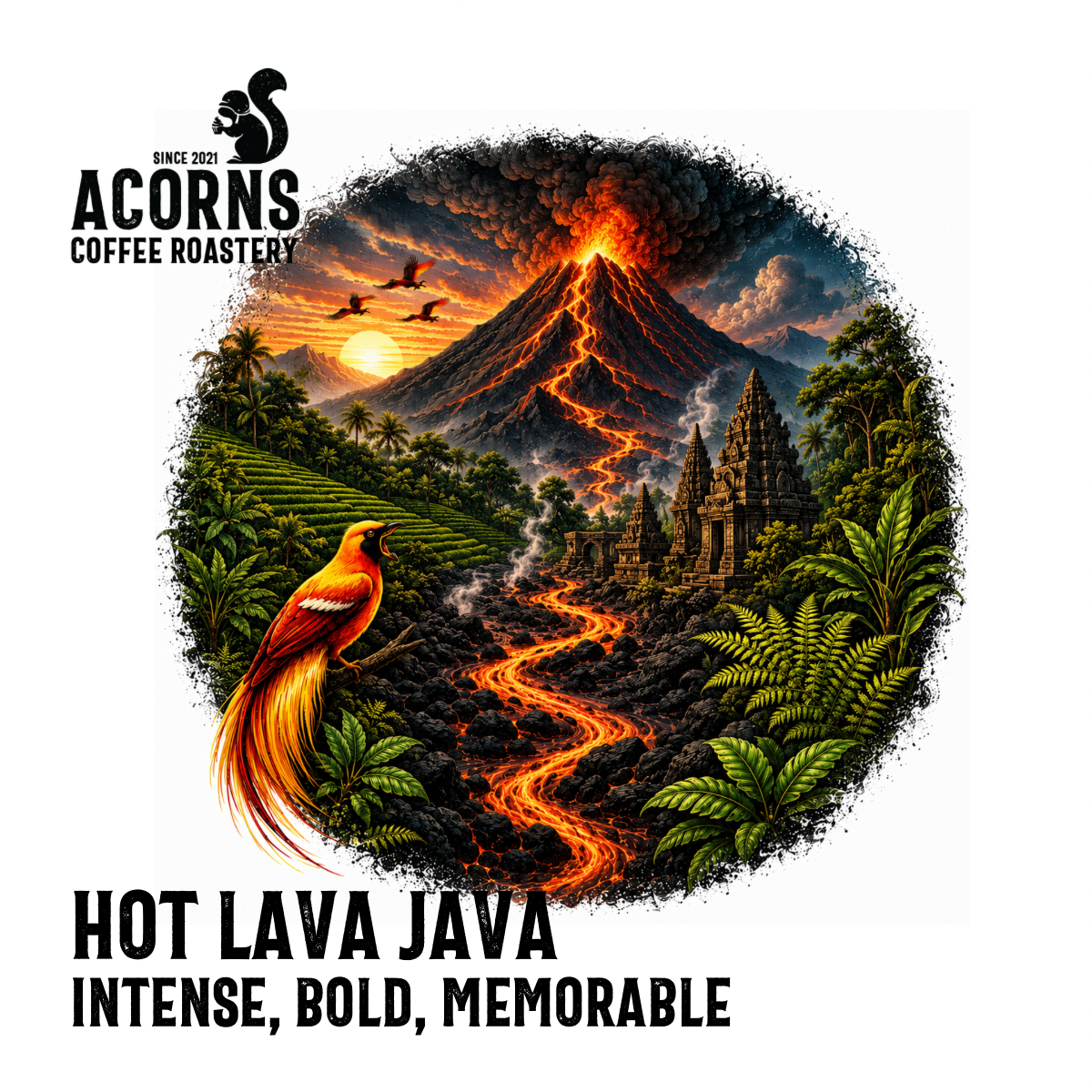 Ad for Acorns Coffee Roastery's 'Hot Lava Java' with a volcano and phoenix design.