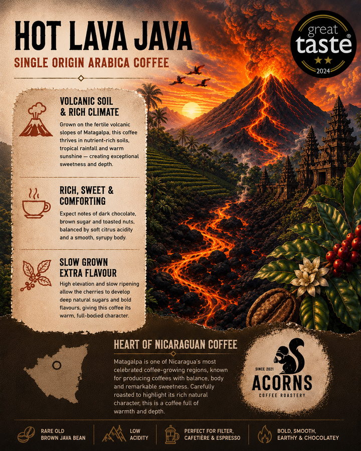 Promotional graphic for Acorns Coffee featuring a volcano and coffee beans with text about the coffee&