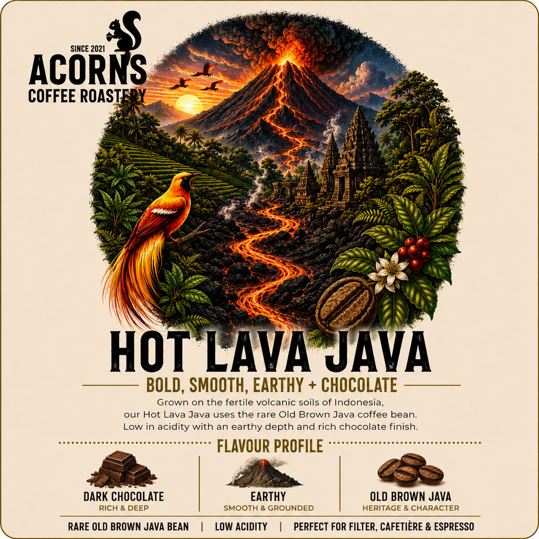 Acorns Coffee Roastery Hot Lava Java coffee label with volcano and coffee bean design.