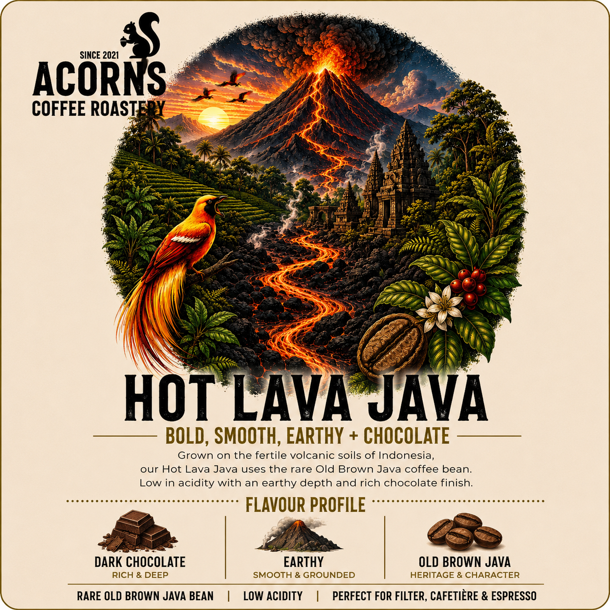 Acorns Coffee Roastery Hot Lava Java coffee label with volcano and coffee bean design.