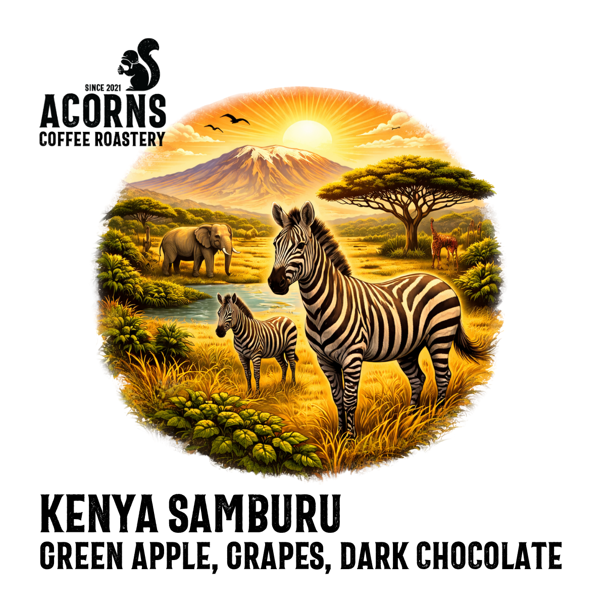 Acorns Coffee Kenya Samburu green apple grapes dark chocolate roasted in bordon hampshire