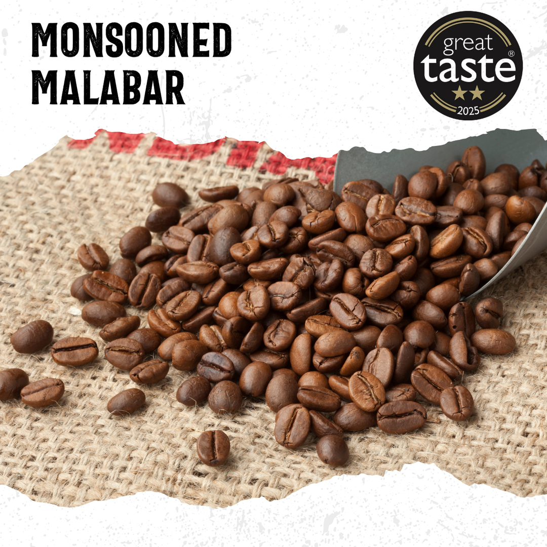 Acorns Coffee | Monsoon Malabar Roasted coffee beans on a hessian background with &