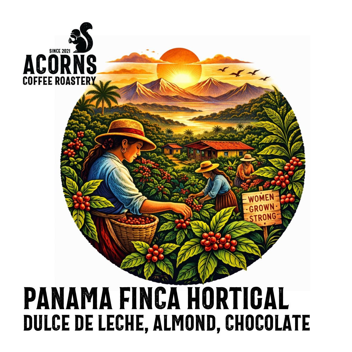 acorns coffee panama finca Hortigal slice de leche caramel milk chocolate almond roasted in bordon hampshire