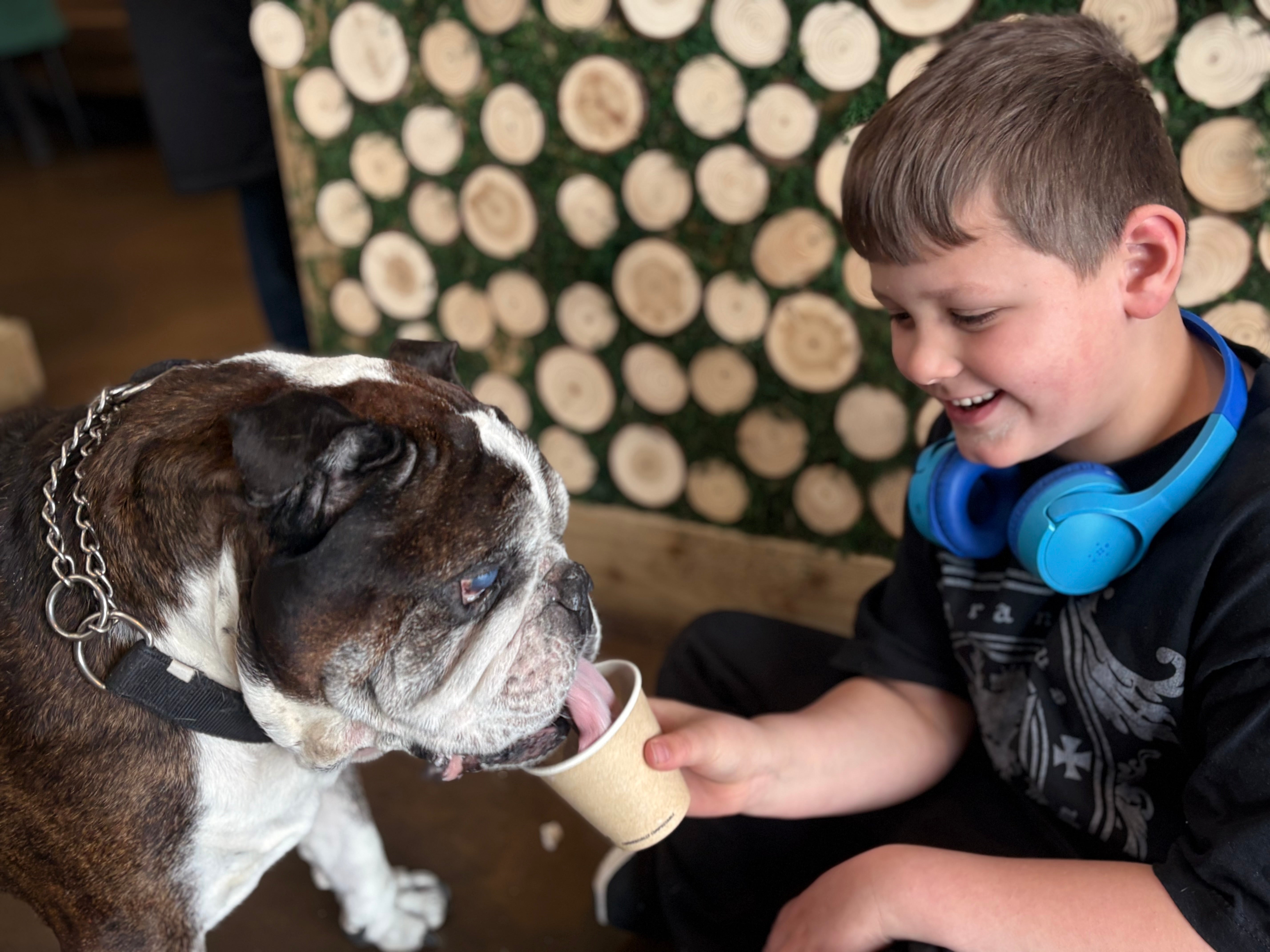 A smiling boy wearing blue headphones sits next to a brown and white bulldog, offering a paper cup to the dog. The background features a decorative wall with circular wood slice patterns.