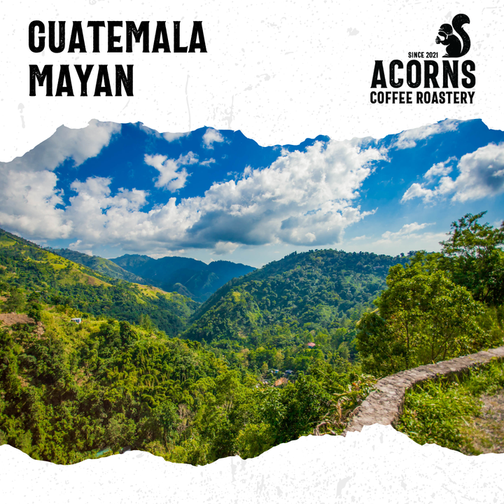 Guatemala Maya