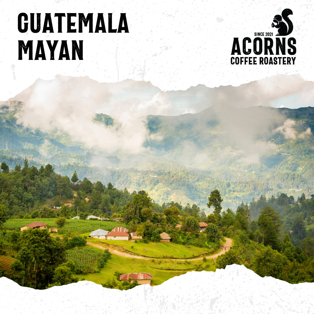 Guatemala Maya
