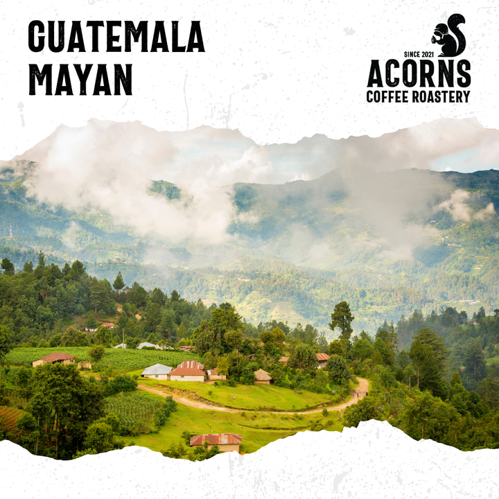 Guatemala Maya