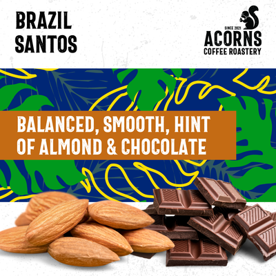 Brazil Santos Medium Roast