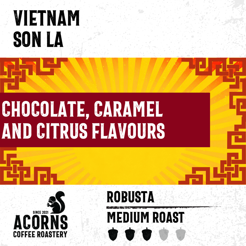 Vietnam Son La Medium Roast