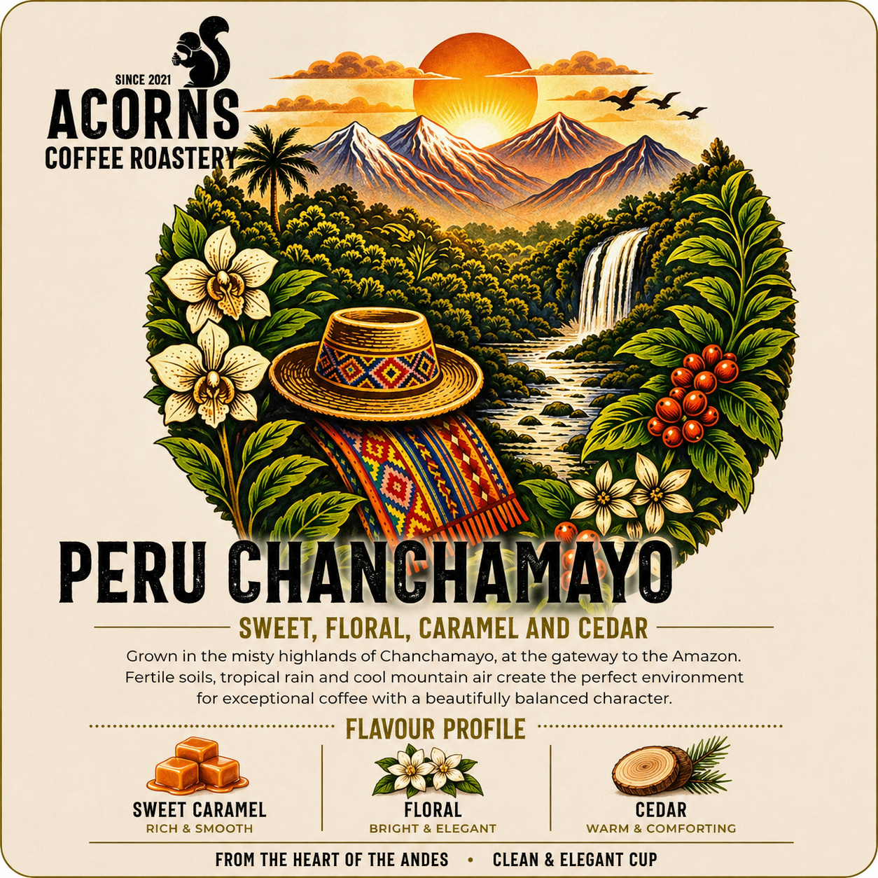 acorns coffee roastery Peru coffee beans from Peru sweet caramel floral and cedar