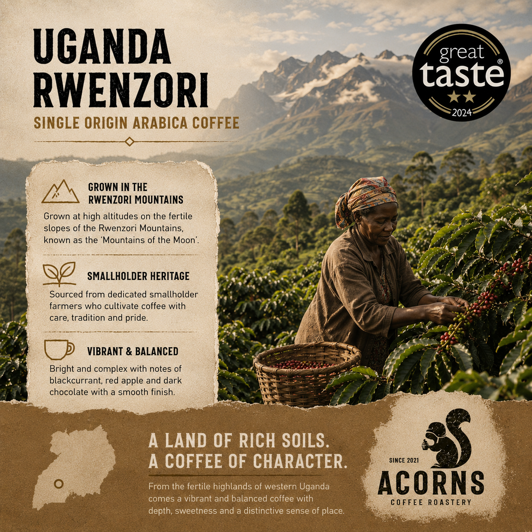 Mountain of the Moon Uganda Rwenzori coffee beans freshly roasted by acorns coffee in Hampshire UK