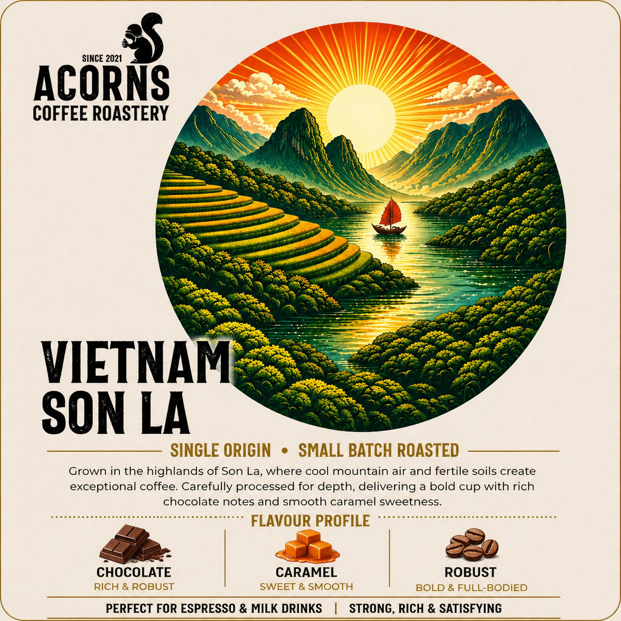 Acorns Coffee robusta coffee beans Vietnam smooth bold