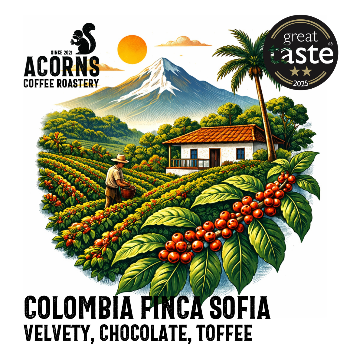 acorns coffee Colombia finca Sofia velvety toffee caramel roasted in bordon hampshire