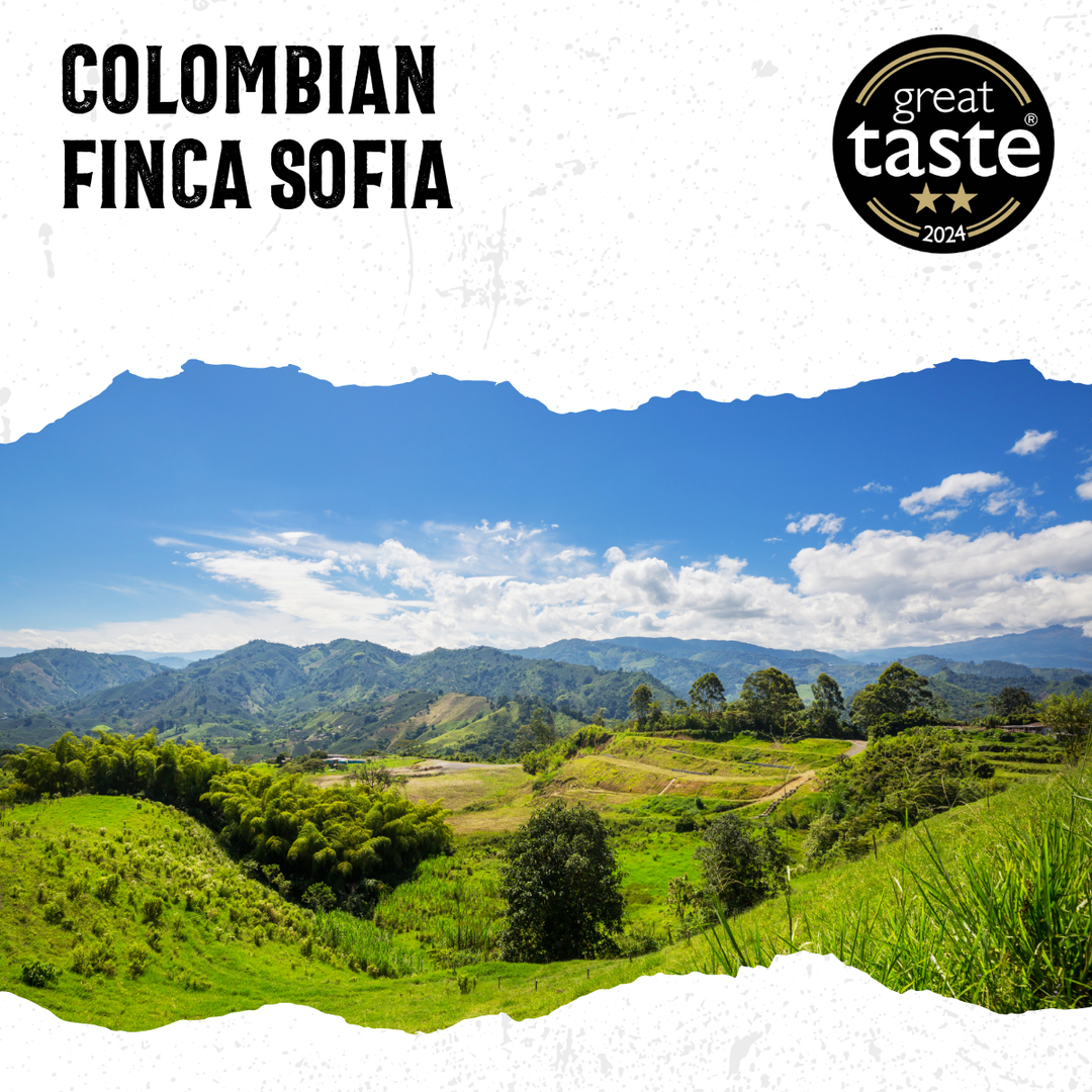 Acorns Coffee Scenic view of a Colombian landscape with mountains and green fields, featuring the &