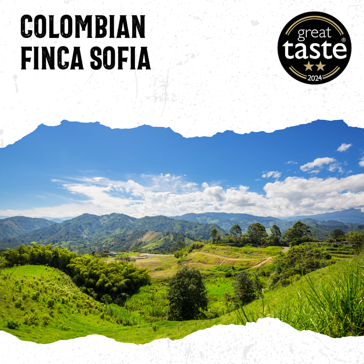 Acorns Coffee Scenic view of a Colombian landscape with mountains and green fields, featuring the &