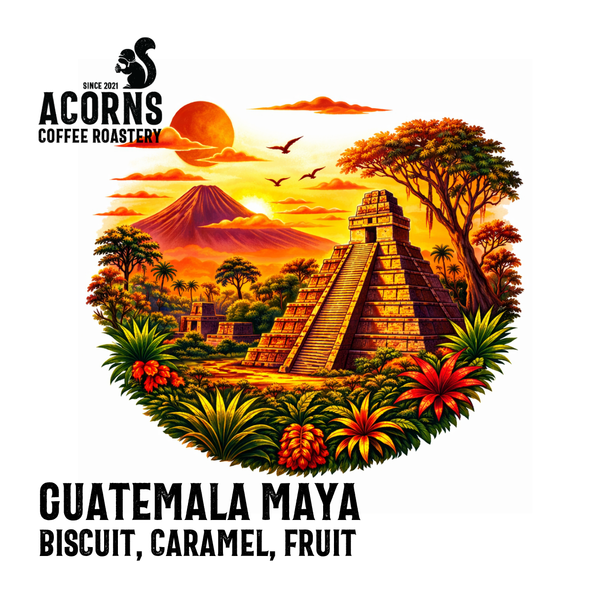 acorns coffee Guatemala maya biscoff biscuit caramel fruit sultana roasted in bordon hampshire