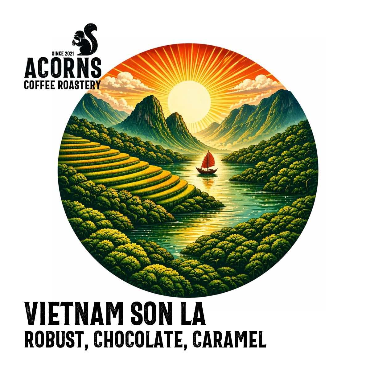 acorns coffee Vietnam son la robusta chocolate caramel smooth roasted in bordon hampshire